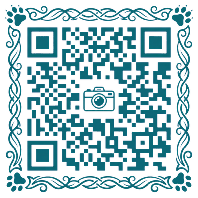 母狗公众号二维码